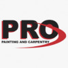 Pro Painting & Carpentry